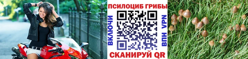 купить наркотик  Полярные Зори  Псилоцибиновые грибы прущие грибы 